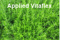 applied vitaflex